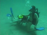 Scuba Diving Instructor Brought This Sport Into Whole New Level