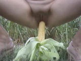 Amateur Girl Fucks Corn Cob In The Open Field